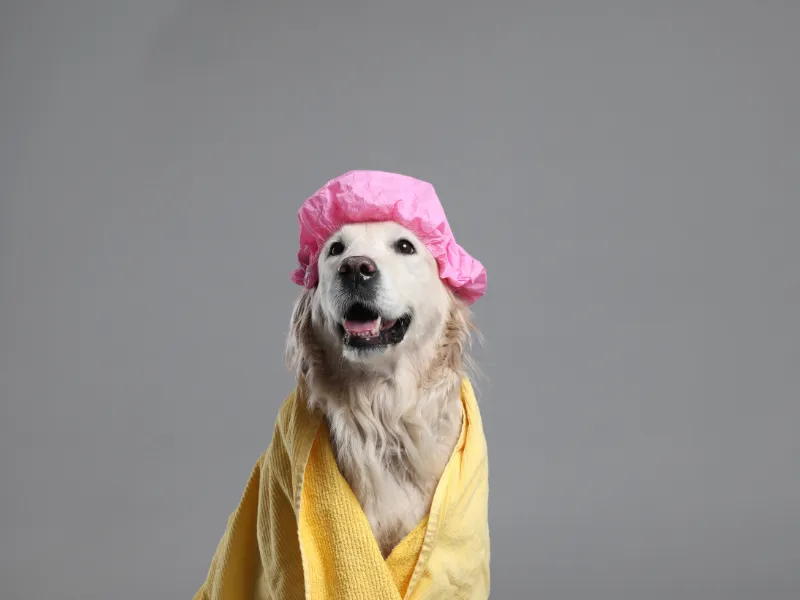 Banho no Inverno: Estética ou questão de saúde?